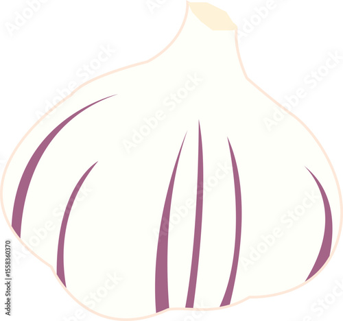Tête d'ail