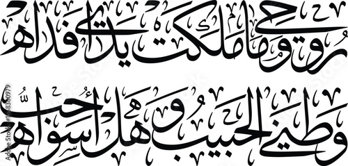 The image features Arabic calligraphy, which is part of a nationalistic poem or saying, not a specific Quranic verse. The text roughly translates to "My homeland, if I possessed you, I would protect y