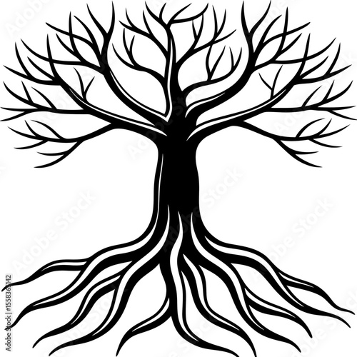 Rooted Harmony