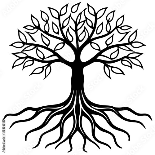 Rooted Harmony