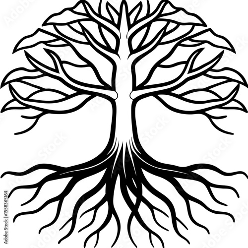 Rooted Harmony