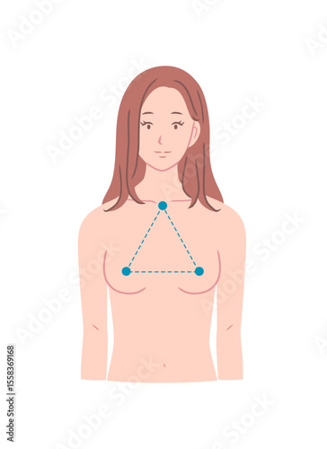 きれいなバストの女性の上半身イラスト素材