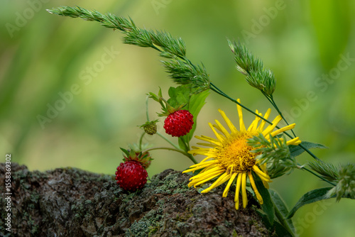Wild strawberry