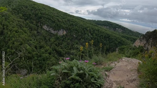 Mountain hiking trail emerges from forest to reveal open view of nearby green hills.