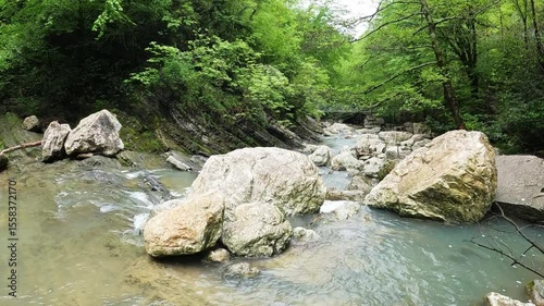 Clear stream moving over smooth stones in a quiet green forest environment.