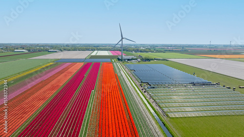 Aerial from blossoming tulips, solar panels and a wind turbine in the countryside from the Netherlands