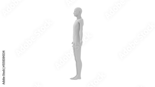 human body, transparent skeleton model, 3d rendered animation, alpha channel available