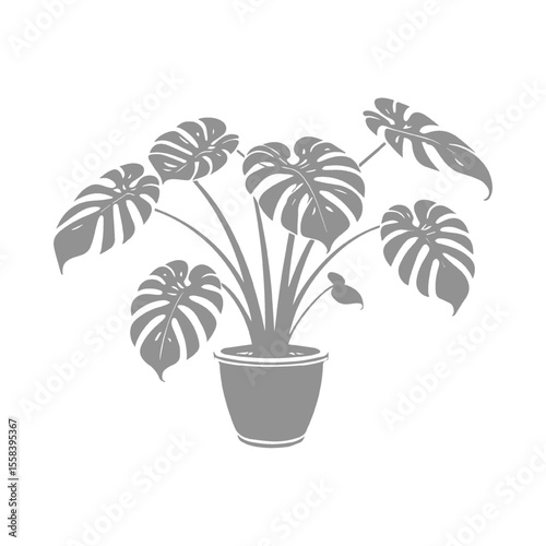Silhouette Illustration of a Monstera Plant in a Pot