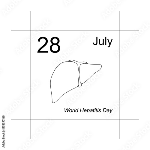World Hepatitis Day, July 28. calendar illustration, line drawing, liver drawing, poster design to commemorate world hepatitis day