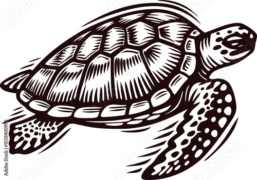 Hand drawn sea turtle swimming engraved vintage isolated on white background illustration