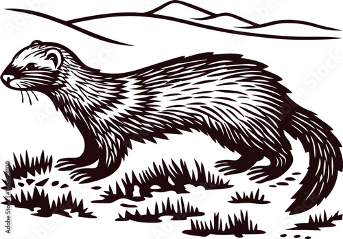 hand drawn black footed ferret standing on grass with mountains in background vintage illustration