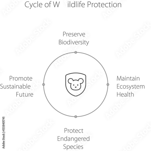 Cycle of Wildlife Protection: A conceptual diagram showcases the essential steps for safeguarding wild species and promoting environmental preservation.