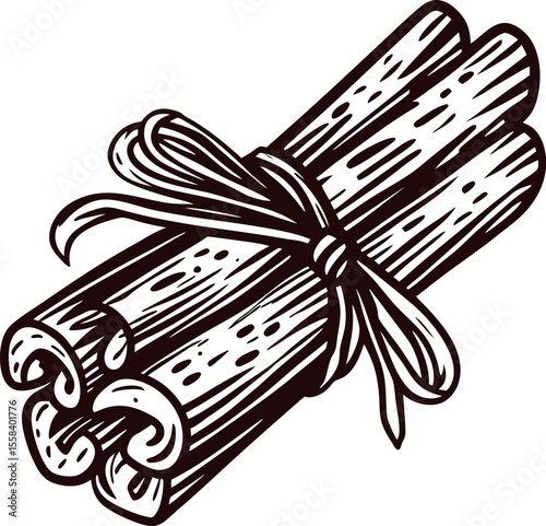 Hand drawn bundle of cinnamon sticks tied with string vintage engraved botanical sketch illustration