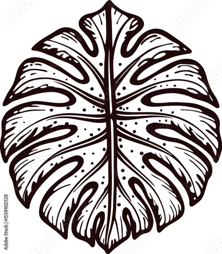 Monstera leaf hand drawn  illustration with intricate black contour lines and detailed botanical design