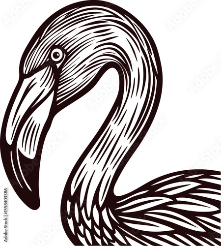Hand drawn flamingo head with curved beak and detailed feathers in vintage engraved illustration