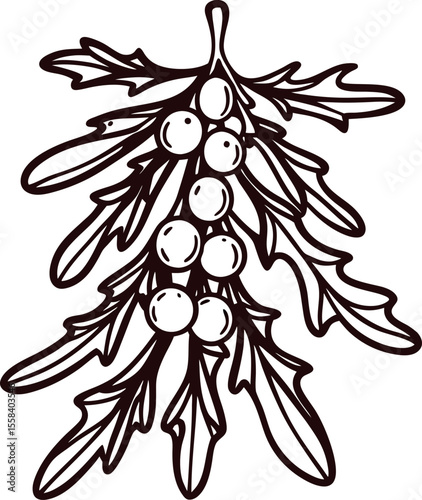 Hand drawn branch of sea buckthorn with berries and leaves isolated on white background illustration