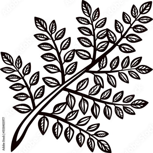 Hand drawn botanical fern branch with intricately detailed leaves in vintage black and white engraving illustration