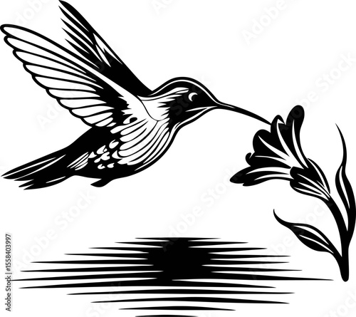 Elegant black and white illustration of hummingbird hovering near flower with stylized water reflection design