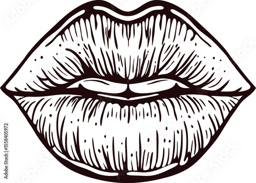 Hand drawn vintage engraving of human lips detailed black sketch of plump female mouth isolated on white background