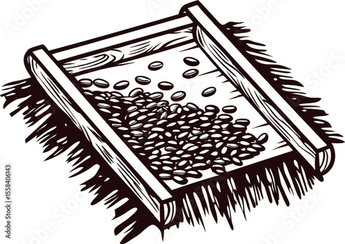 Vintage hand drawn illustration of coffee beans on a wooden tray with rustic engraved isolated on white