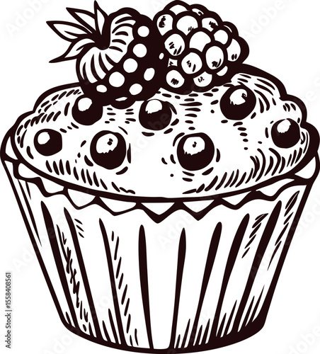 Hand drawn berry muffin with strawberry and blueberry on top in vintage engraving illustration