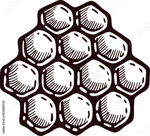 Hand drawn vintage honeycomb cluster engraved beehive cells isolated on white background illustration