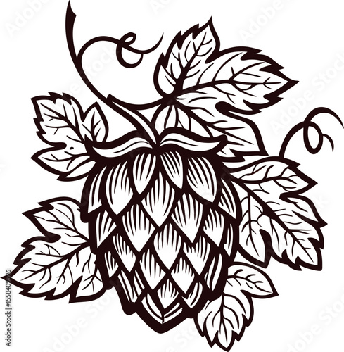 Hand drawn hop cone with leaves isolated on white background vintage botanical line art illustration