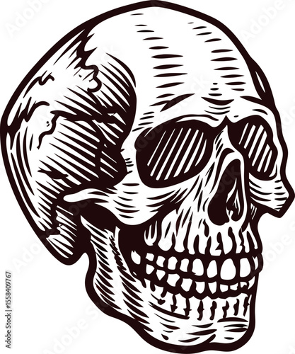 Vintage engraved human skull drawing isolated on white background detailed hand drawn illustration