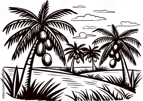 Hand drawn coconut palm trees with fruits on tropical landscape isolated on white background illustration