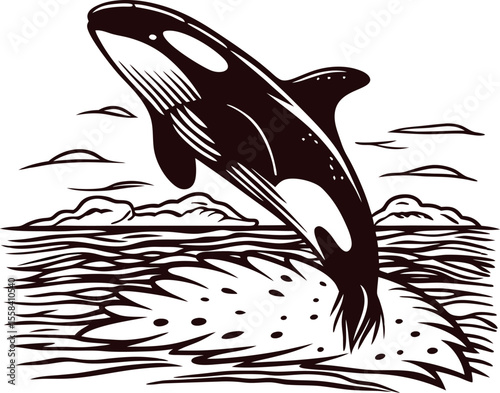 Leaping orca illustration with detailed waves and clouds, monochrome engraving marine animal graphic