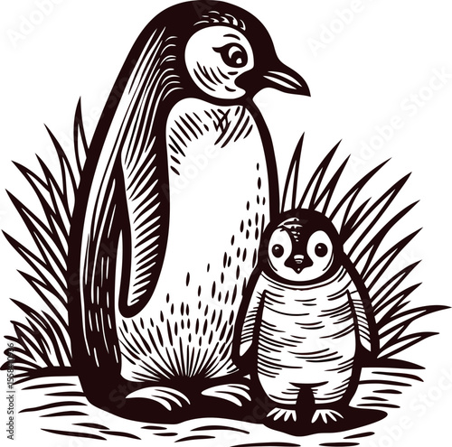 Vintage engraved drawing of adult penguin and chick standing together in grass isolated on white background