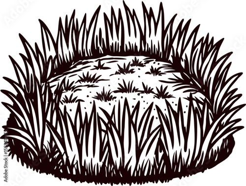 hand drawn grassy patch illustration with thick blades and sparse tufts isolated on white background