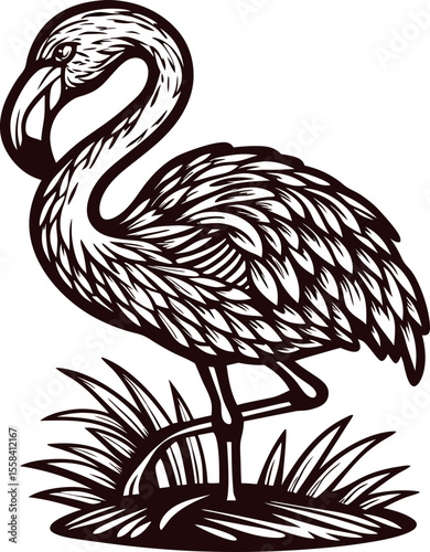 Hand drawn flamingo standing in grass vintage engraved illustration of exotic bird with detailed feathers and curved beak