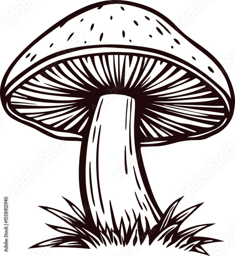 Hand drawn black and white mushroom illustration with detailed cap and stem, wild fungi sketch isolated on white background
