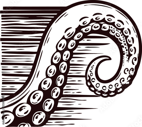 Detailed engraved illustration of a curling octopus tentacle with suction cups and vintage woodcut texture