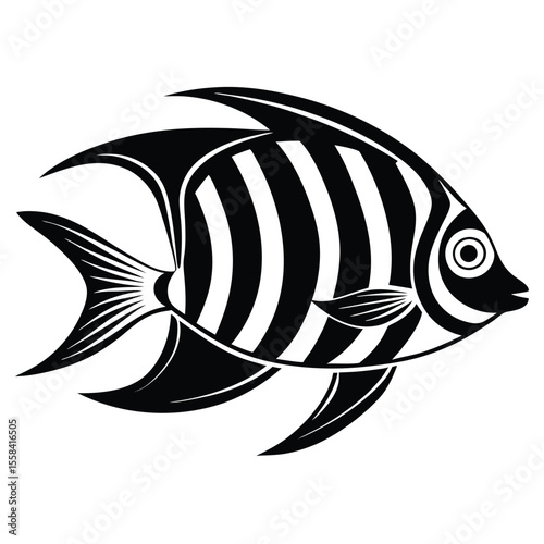 cute Angelfish vector illustration, isolated white background