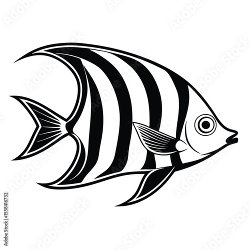 cute Angelfish vector illustration, isolated white background