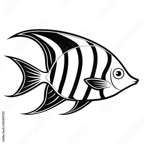 cute Angelfish vector illustration, isolated white background