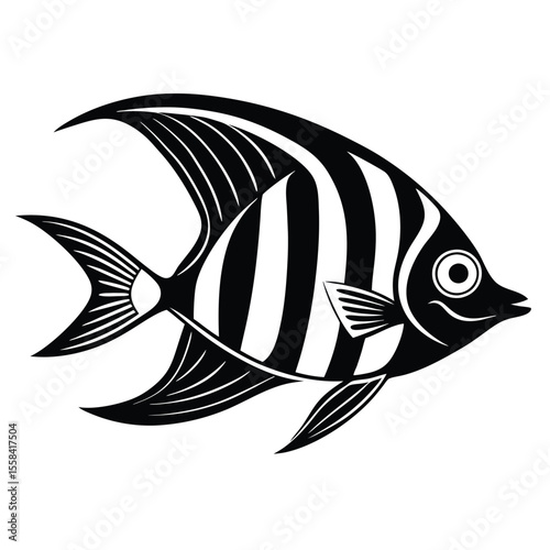 cute Angelfish vector illustration, isolated white background