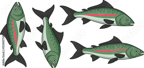 Hand-drawn vector illustration set of rainbow trout in various dynamic poses. Perfect for fishing graphics, apparel, t-shirt designs, stickers, and outdoor-themed designs