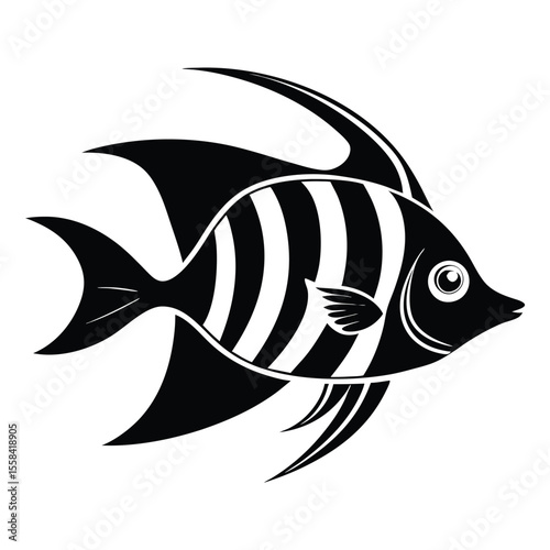 cute Angelfish vector silhouette, isolated white background