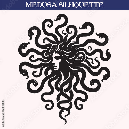 Mythical medusa silhouette vector illustration	
