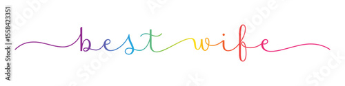 BEST WIFE colorful vector brush calligraphy banner