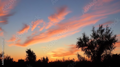 Vibrant sunset hues paint the sky, clouds streaked with orange and pink, silhouetting dark trees against the horizon