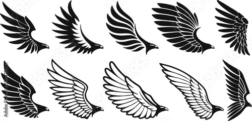 Collection of stylized eagle wings illustrations on background different shapes angles for design