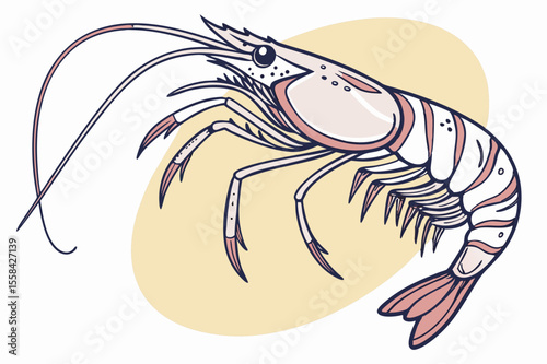 Cute Shrimp Cartoon - Seafood Illustration