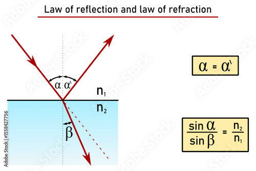 The law of reflection and the law of refraction of light at the interface of two media - graphically and by formula