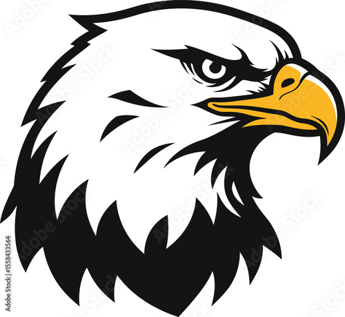 A detailed illustration of a majestic eagle head, showcasing its piercing gaze and sharp beak.