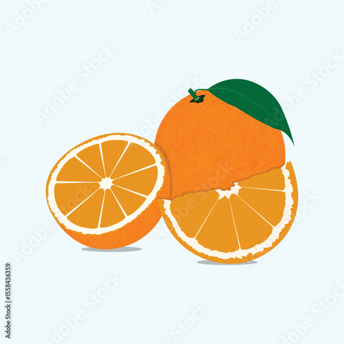 Juicy Orange with Leaf and Slices Vibrant Citrus Fruit Illustration