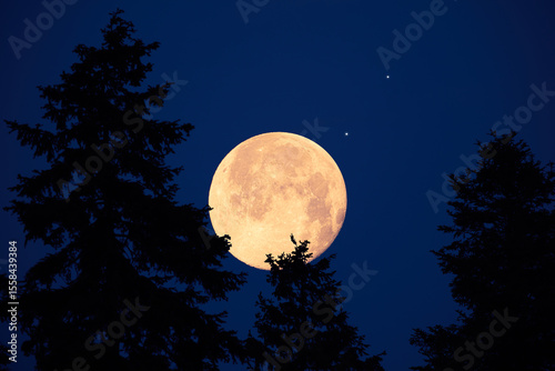 Full Moon with stars, planets and rural countryside tree silhouettes.